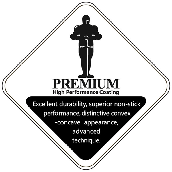 Логотип покрытия PFLUON PREMIUM